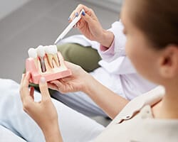 A dentist explaining how dental implants work to a patient while they hold a mouth mold that contains a single tooth dental implant